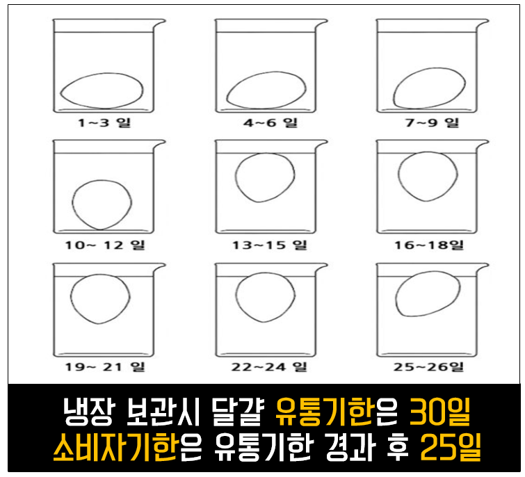 아침 식탁